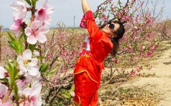 差差动漫免费看在线入口弹窗页面